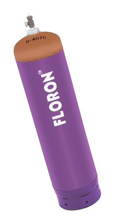 Creative Web Project