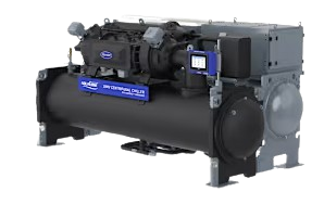 Creative Web Project