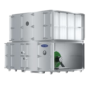 Creative Web Project