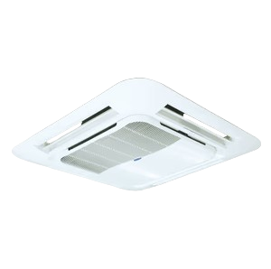 Creative Web Project